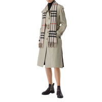 CASHMERE SCARVES VÉRIFICATION DES PIERRE