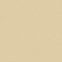 Unisex Sunglasses BEIGE CLAIR