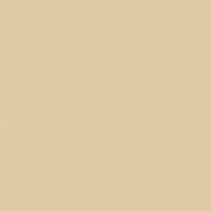 Unisex Sunglasses BEIGE CLAIR