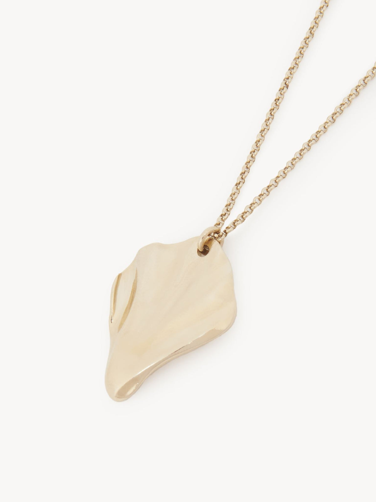 NEW_Gold Color Necklace - Gold Color