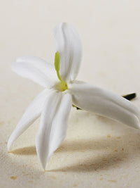 NEW_Eau De Parfum  50Ml