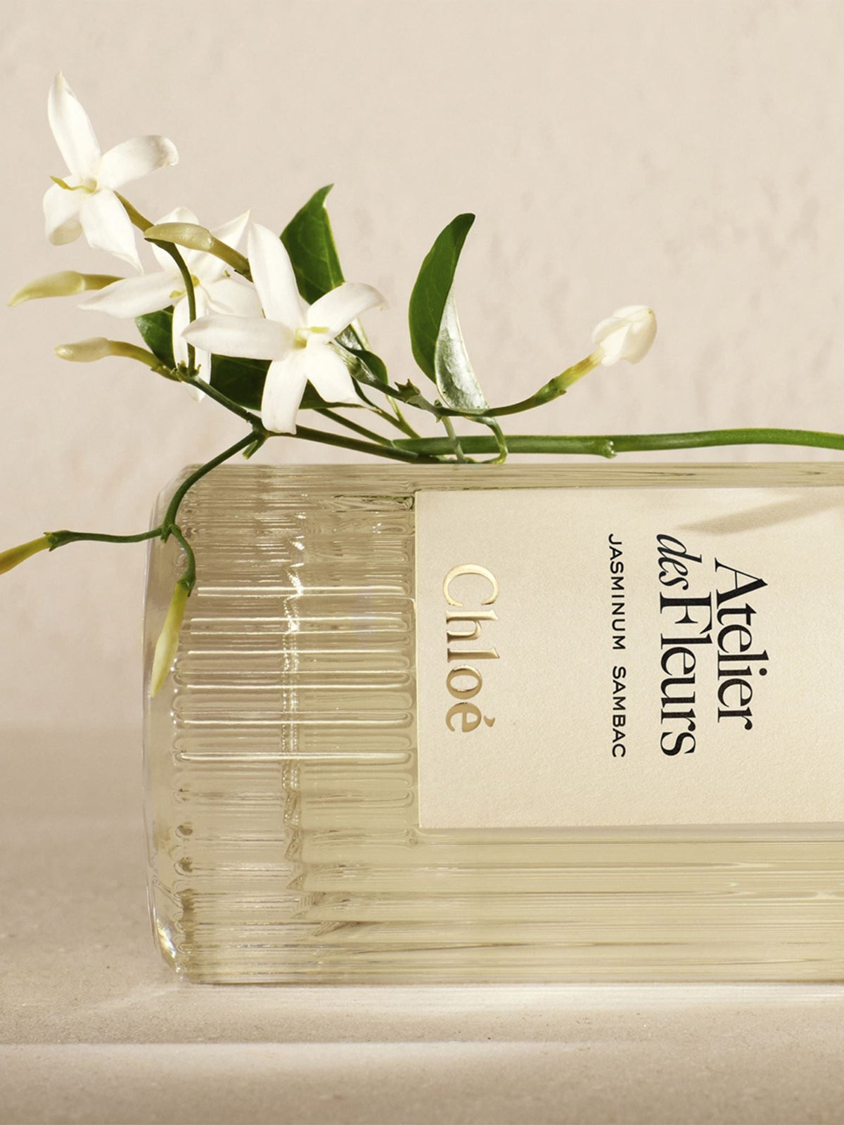 NEW_Eau De Parfum  50Ml