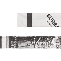 SILK SCARVES GRIS