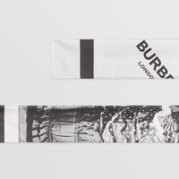 SILK SCARVES GRIS