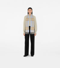 CASHMERE SCARVES Bleu pâle/Beige Arc