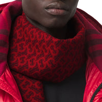 CASHMERE SCARVES ROUGE