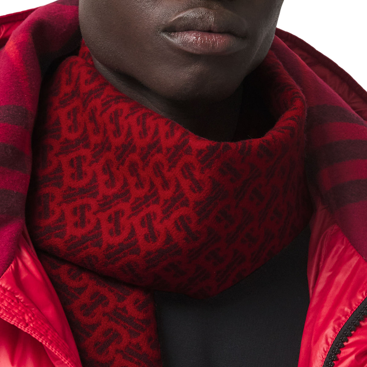CASHMERE SCARVES ROUGE