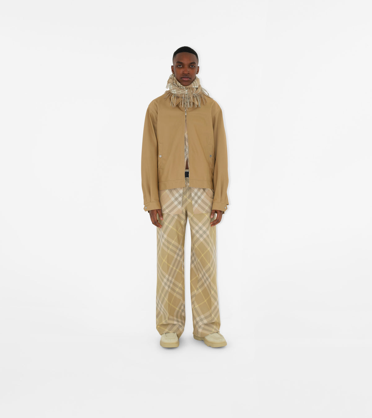CASHMERE SCARVES LIN