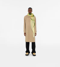 CASHMERE SCARVES SORBET