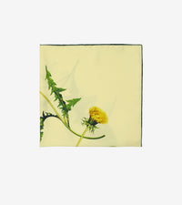 SILK SCARVES SORBET