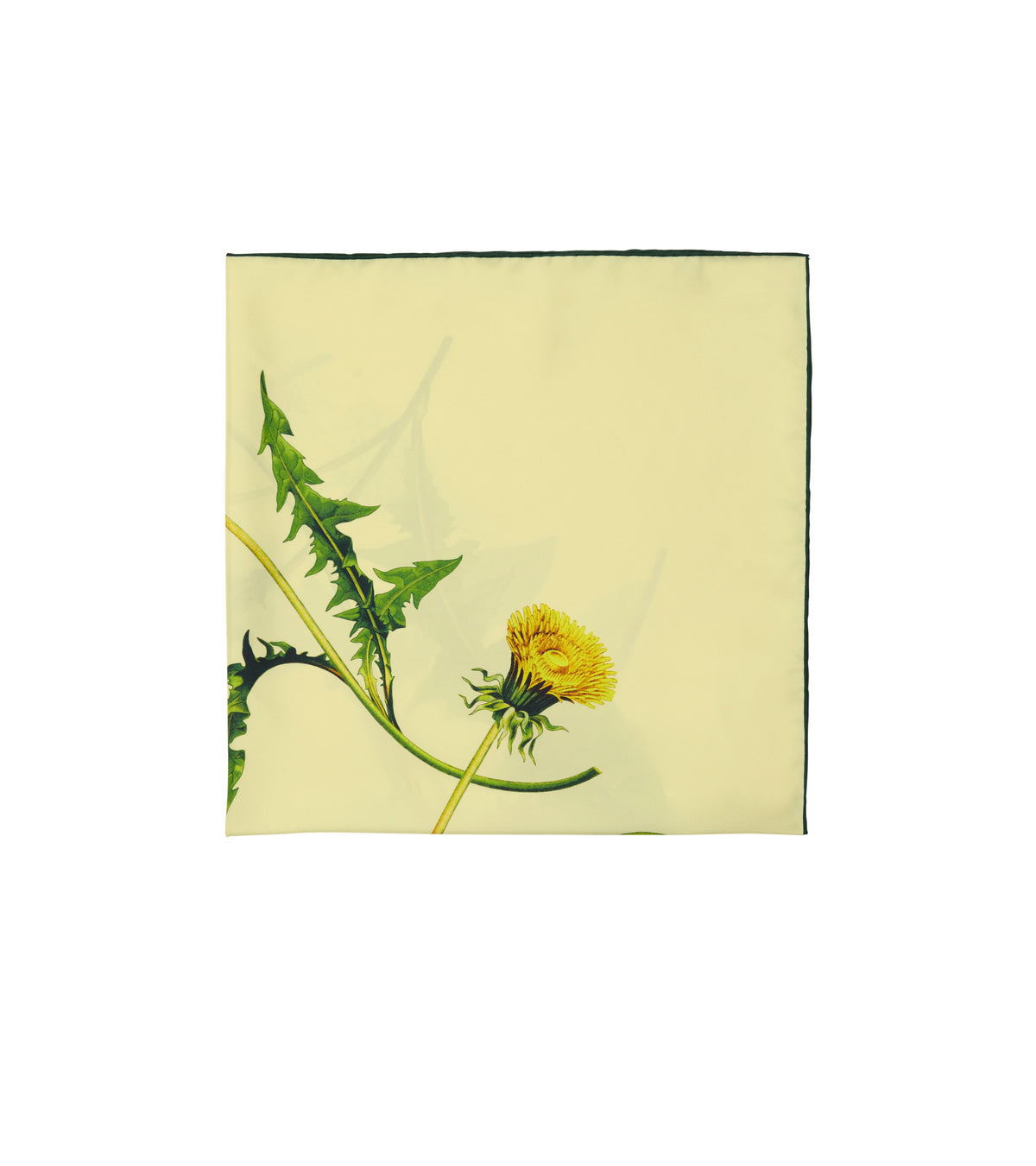 SILK SCARVES SORBET