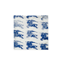 SILK SCARVES Knight