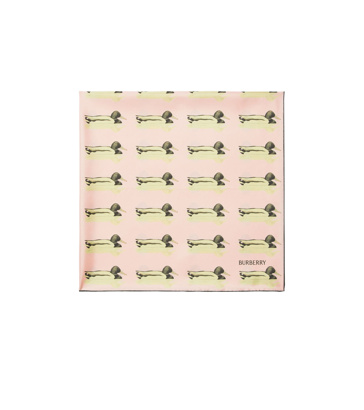 SILK SCARVES CAMEO