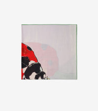 CASHMERE SCARVES BRUME