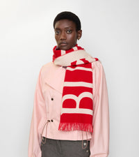 OTHER SCARVES Poteau
