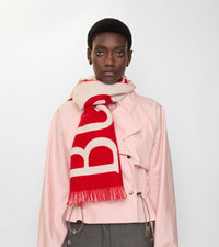OTHER SCARVES Poteau