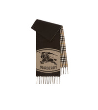CASHMERE SCARVES Brun taupe (Vole Brown)