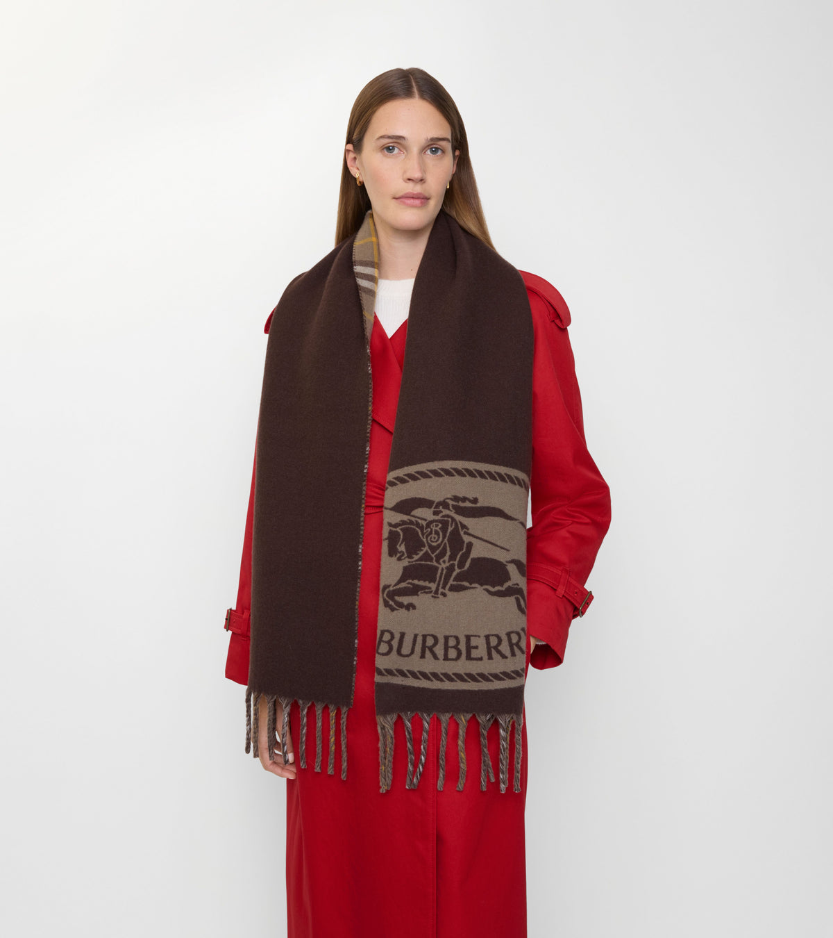 CASHMERE SCARVES Brun taupe (Vole Brown)