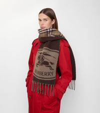 CASHMERE SCARVES Brun taupe (Vole Brown)