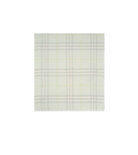 OTHER SCARVES Menthe