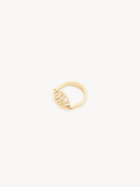 NEW_Gold Color Ring - Gold Color