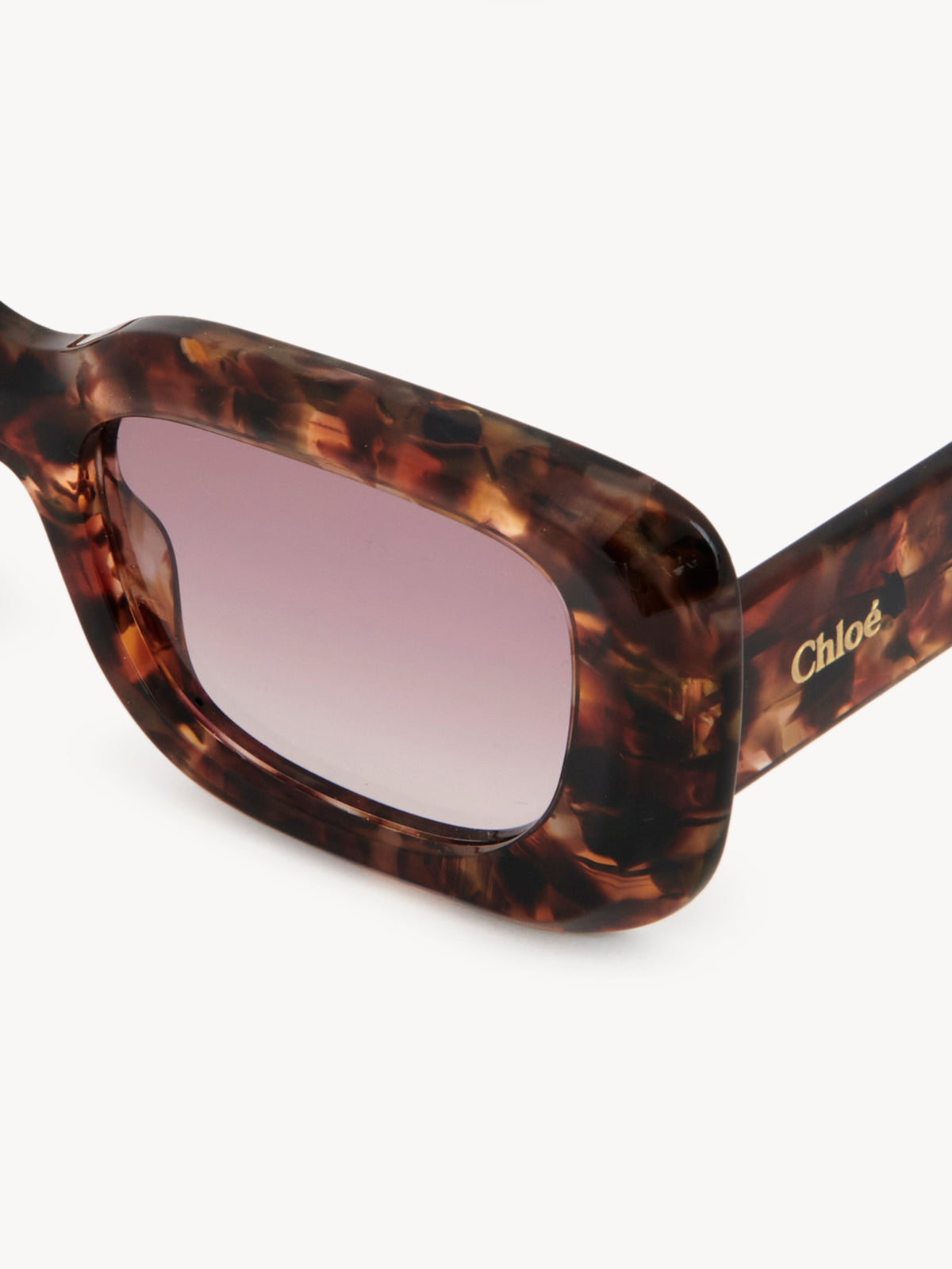 Lunettes de soleil Gayia - Forest Brown