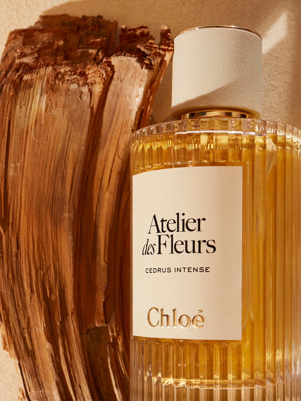 NEW_Eau De Parfum 50Ml