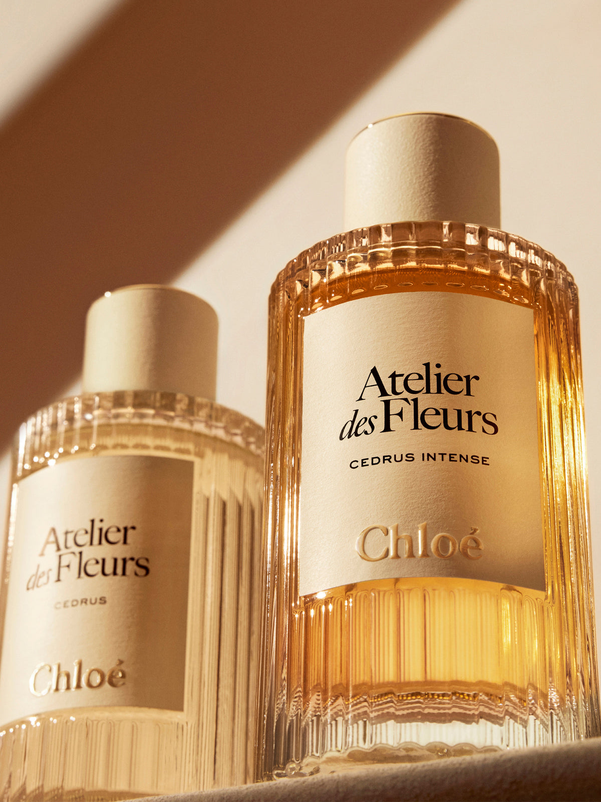 NEW_Eau De Parfum 50Ml