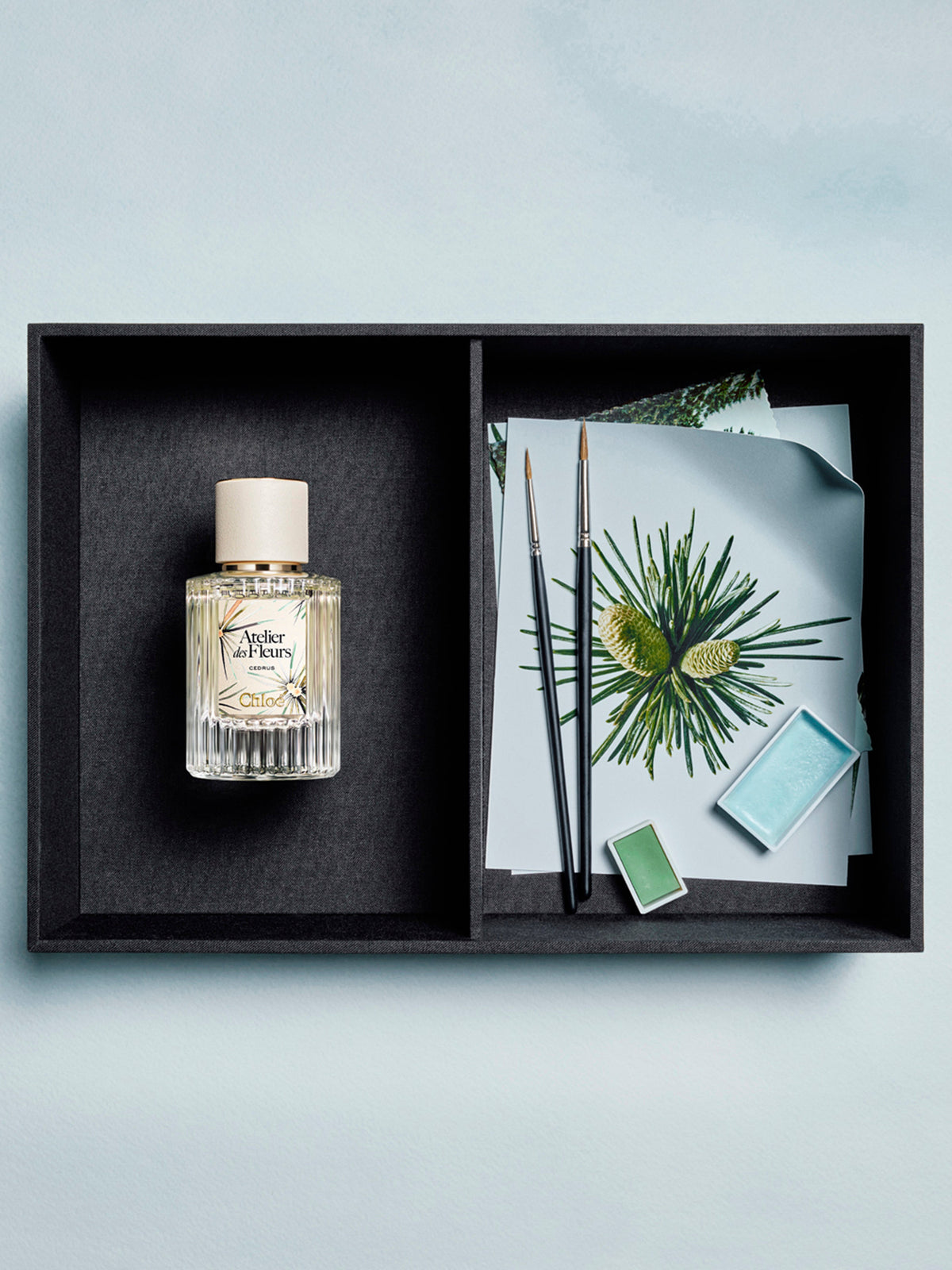 NEW_Cedrus Limited Edition 50Ml