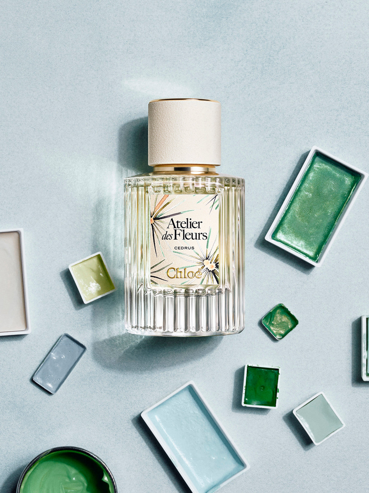 NEW_Cedrus Limited Edition 50Ml
