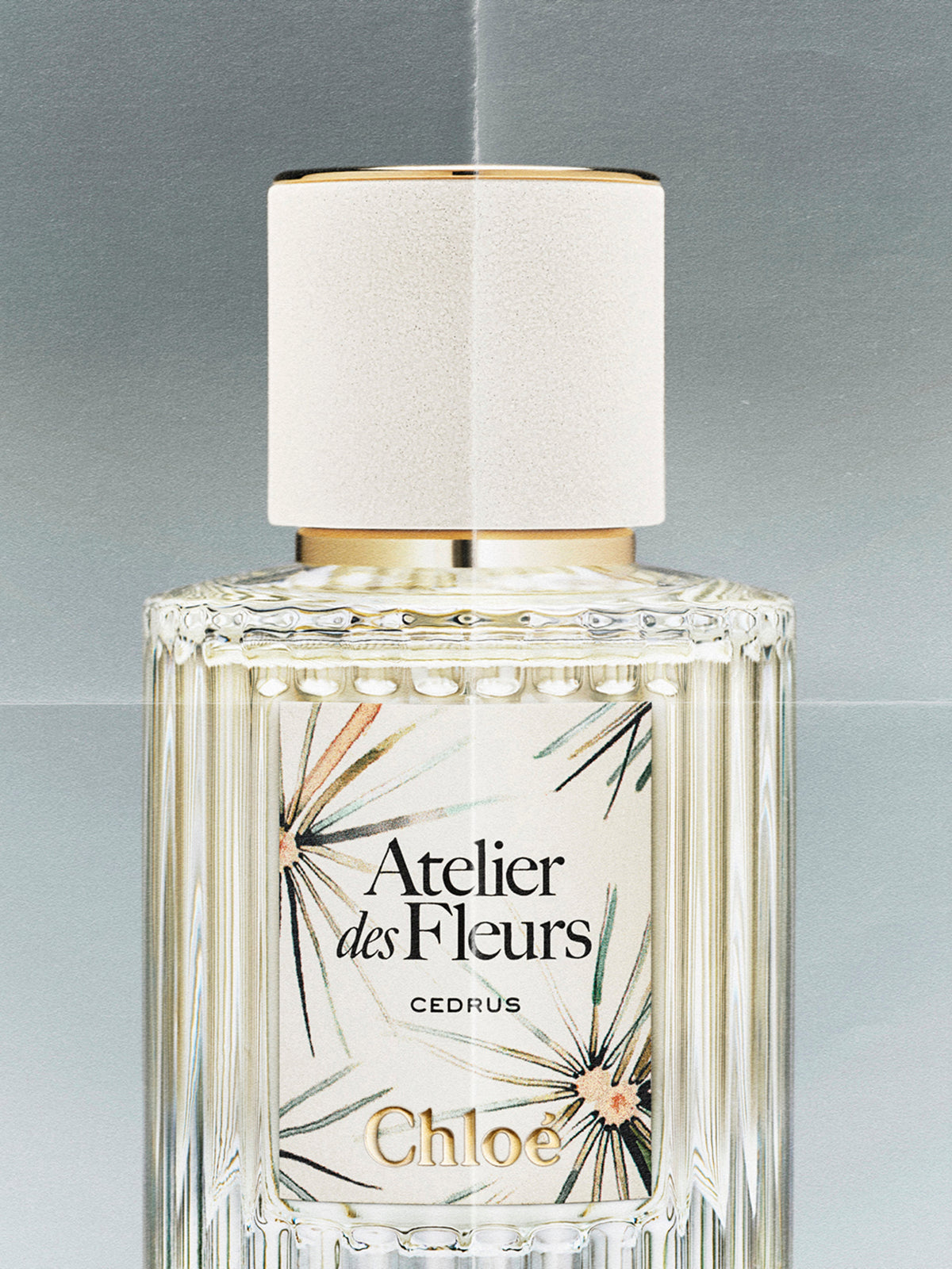 NEW_Cedrus Limited Edition 50Ml