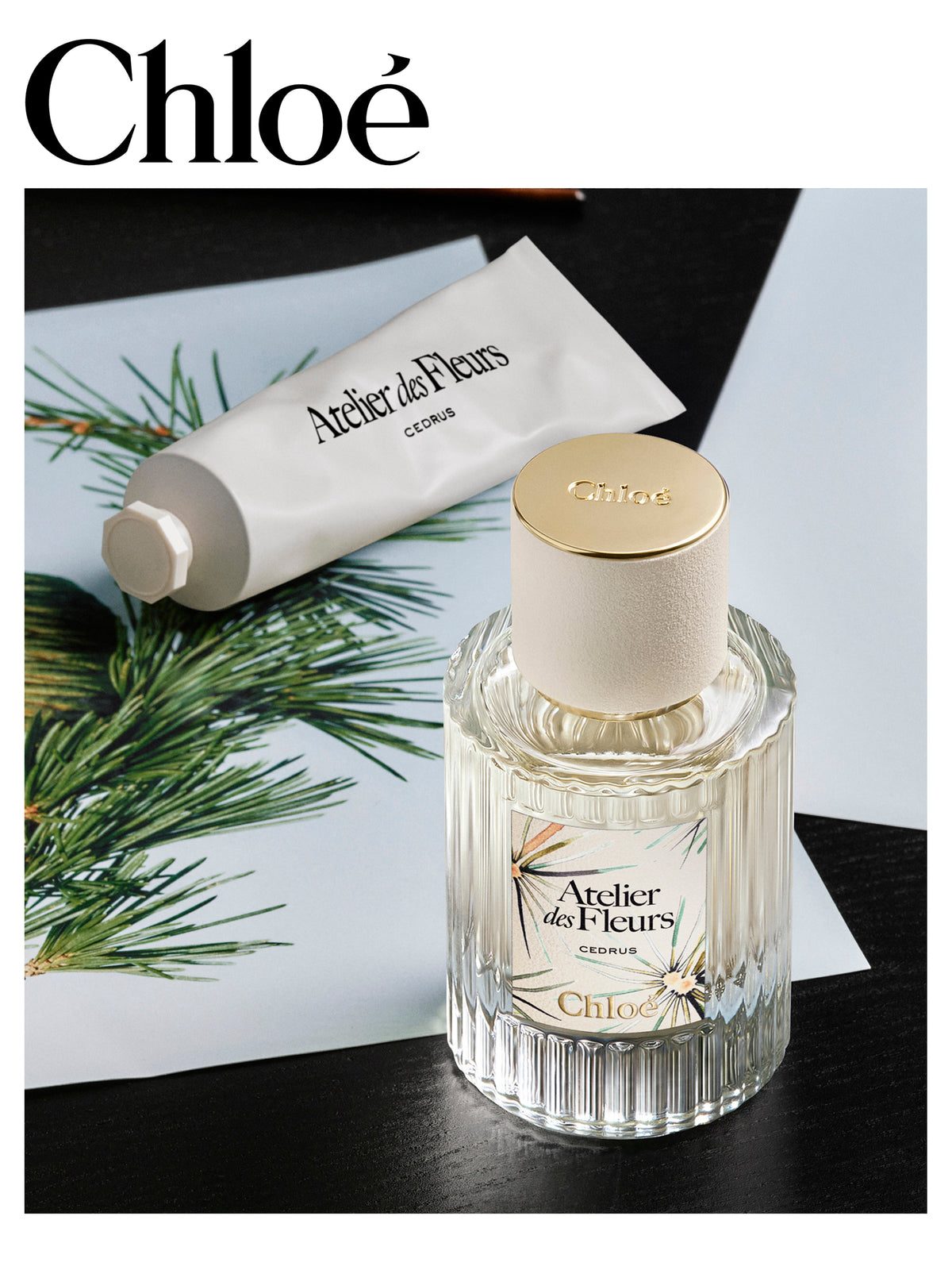 NEW_Cedrus Limited Edition 50Ml