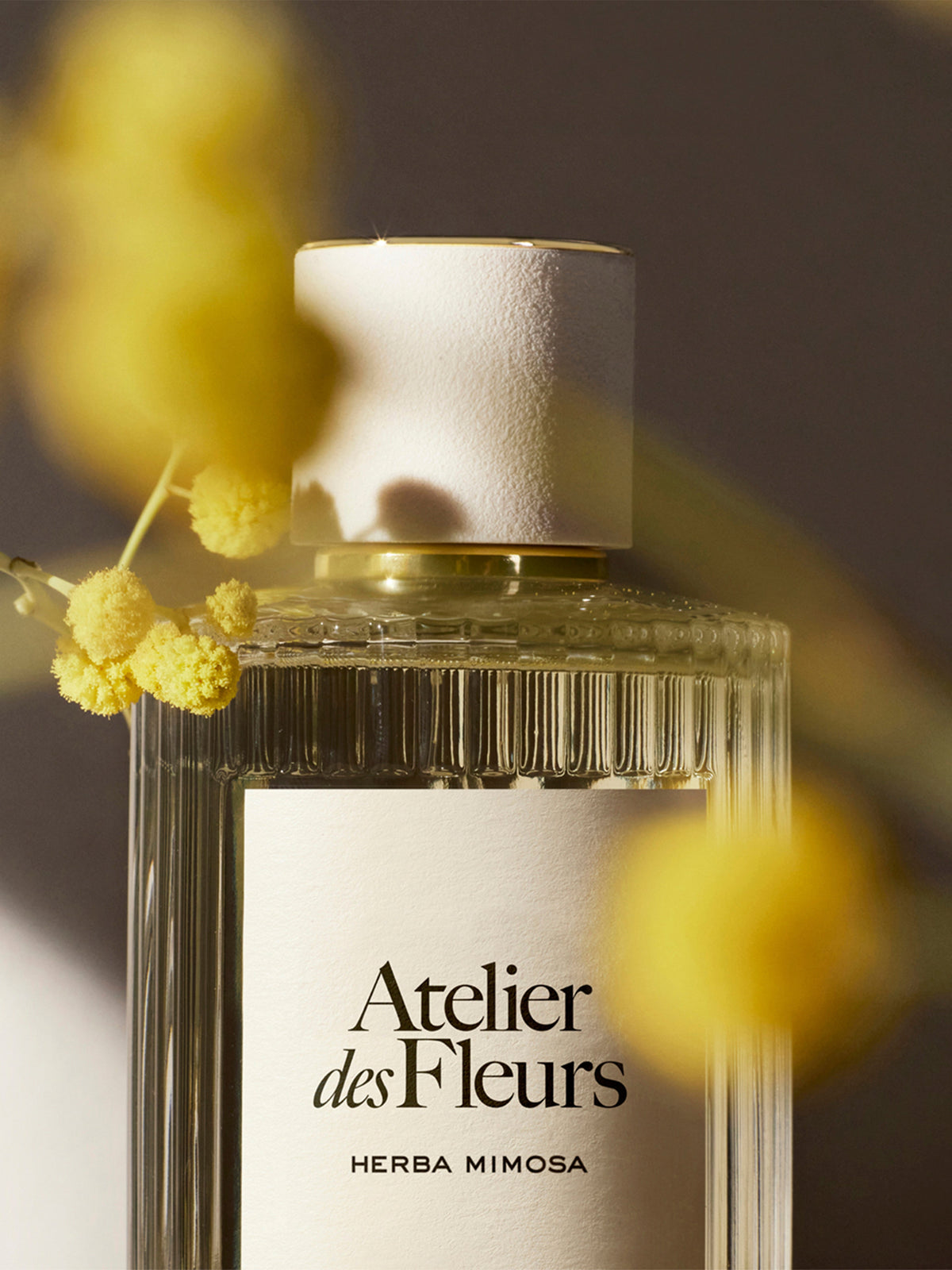NEW_Eau De Parfum