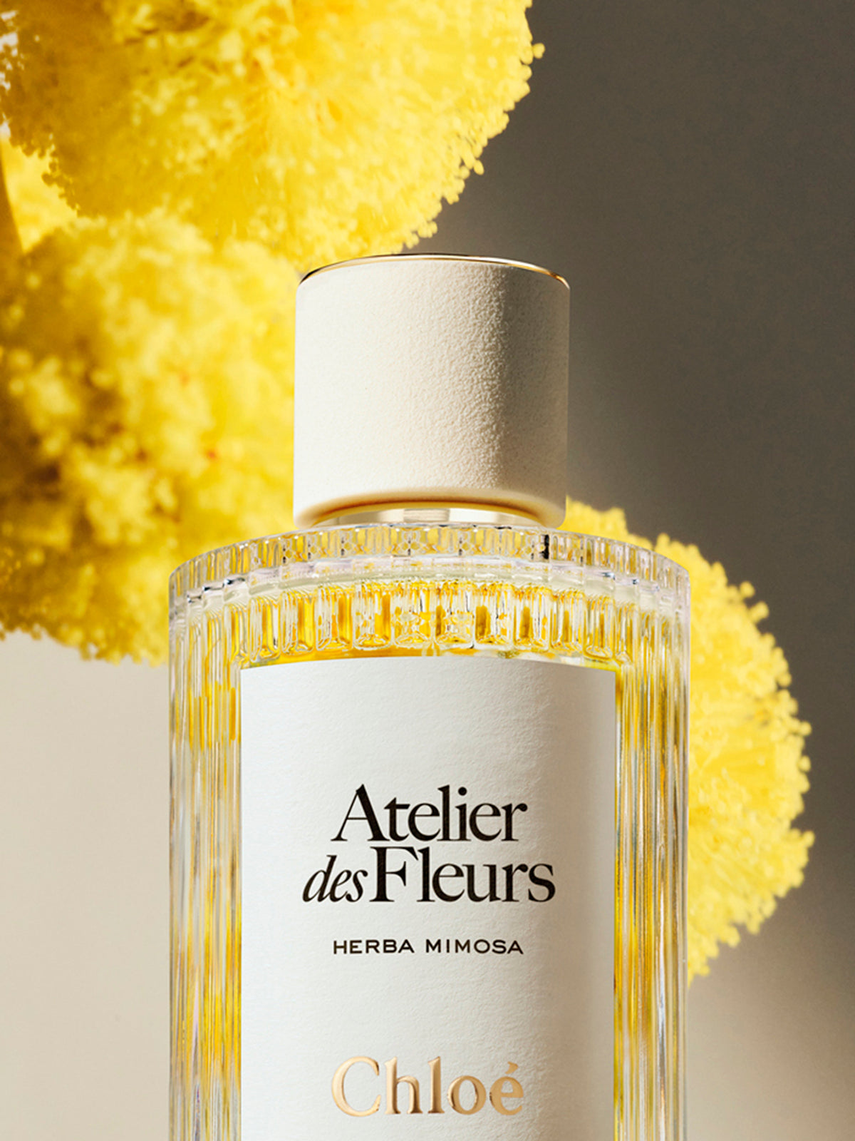 NEW_Eau De Parfum