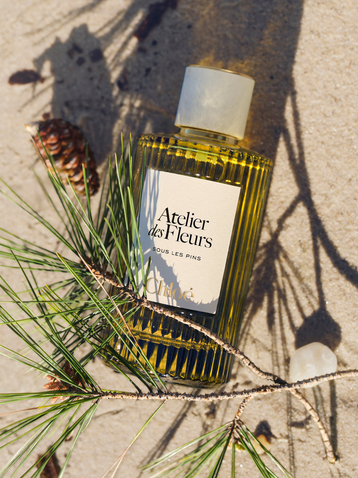 NEW_Eau De Parfum