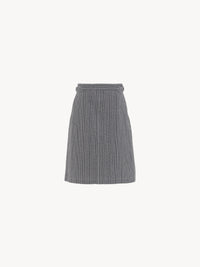 NEW_Skirt, Blue - White 1, 38