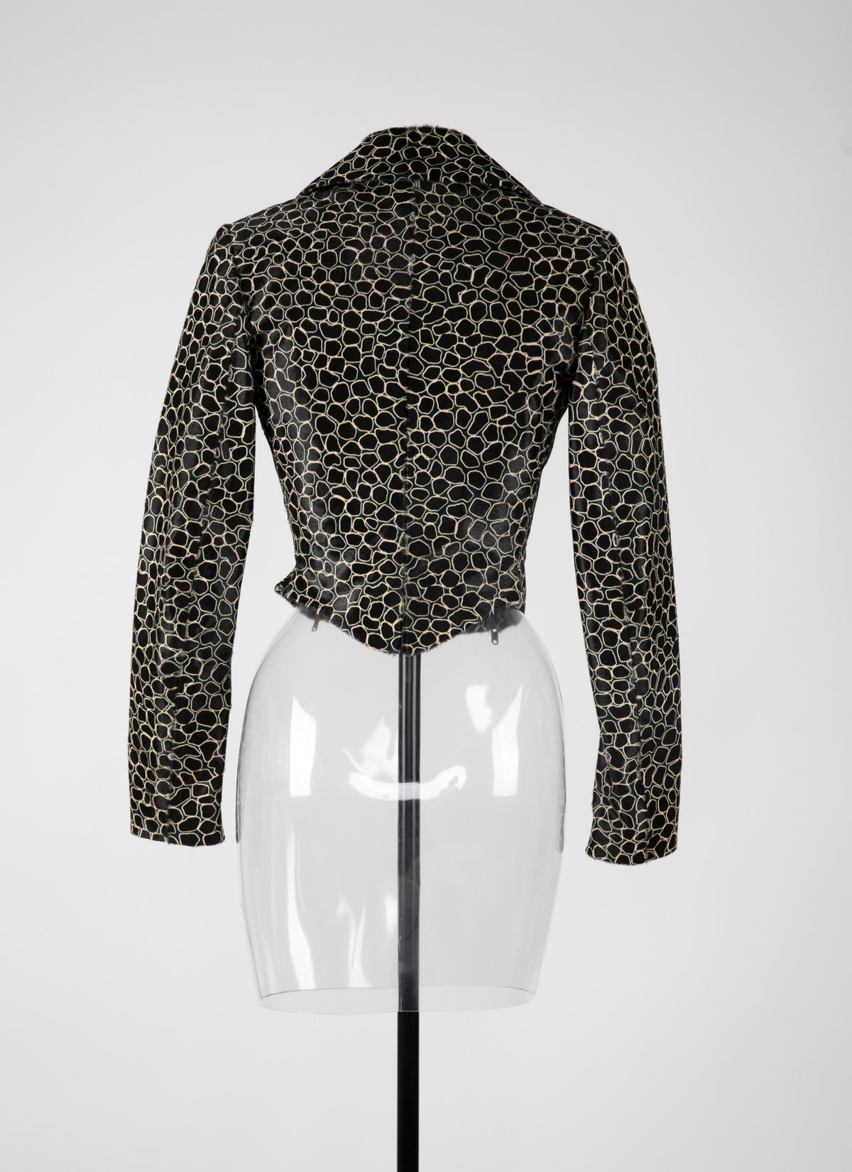 Perfecto Asteroide en cuir - Noir & Vert
